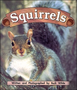Bertrand.pt - Squirrelsnight Crickets