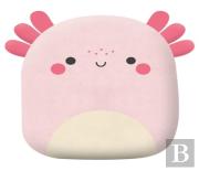 Squish And Snugg Groovy Axolotl