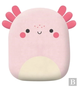 Bertrand.pt - Squish And Snugg Groovy Axolotl