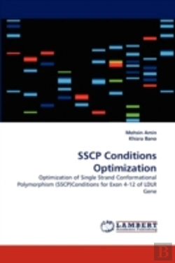 Bertrand.pt - Sscp Conditions Optimization