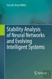 Stability Analysis Of Neural Networks And Evolving Intelligent Systems