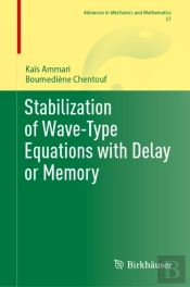 Stabilization Of Wave-Type Equations With Delay Or Memory