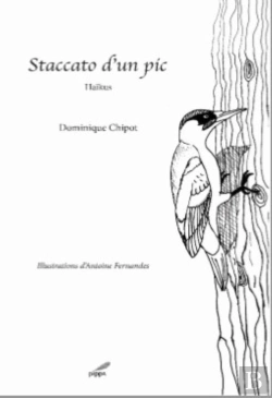 Bertrand.pt - Staccato D'Un Pic