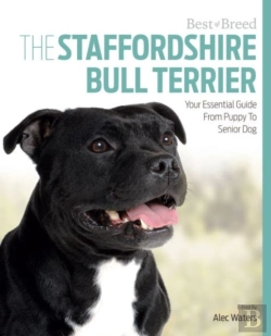 Bertrand.pt - Staffordshire Bull Terrier