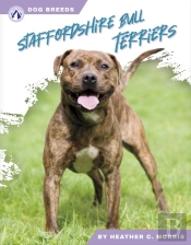 Staffordshire Bull Terriers