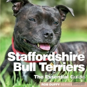 Staffordshire Bull Terriers