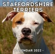 Staffordshire Terriers Calendar 2022