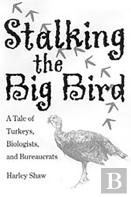 Stalking The Big Bird