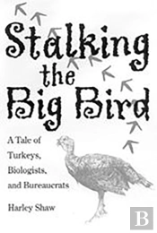 Stalking The Big Bird