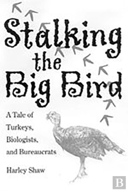 Bertrand.pt - Stalking The Big Bird