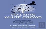 Stalking White Crows