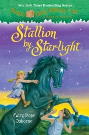 Stallion By Starlight