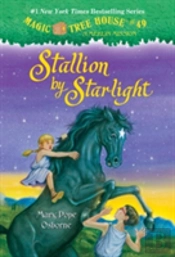 Stallion By Starlight