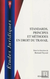 Standards, Principes Et Méthodes En Droit Du Travail