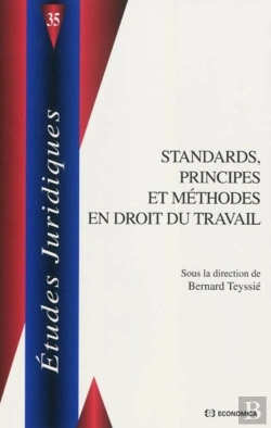 Bertrand.pt - Standards, Principes Et Méthodes En Droit Du Travail
