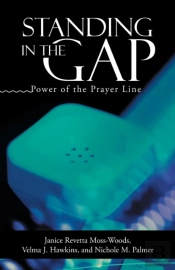 Standing In The Gap