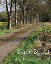 Stane Street: From Chichester To London