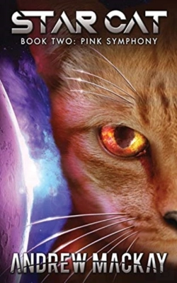 Bertrand.pt - Star Cat