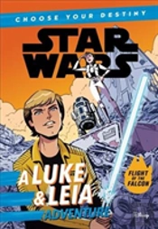 Star Wars A Luke Leia Adventure