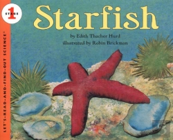 Bertrand.pt - Starfish