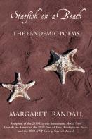 Starfish On A Beach