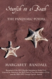 Starfish On A Beach