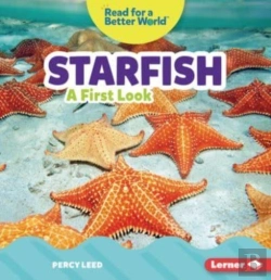 Bertrand.pt - Starfish