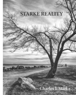 Bertrand.pt - Starke Reality