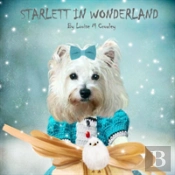 Starlett In Wonderland