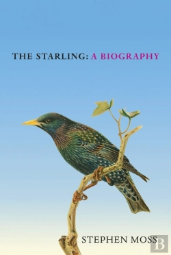Bertrand.pt - Starling