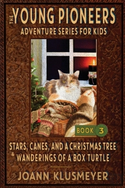 Bertrand.pt - Stars, Canes, And A Christmas Tree  Amp