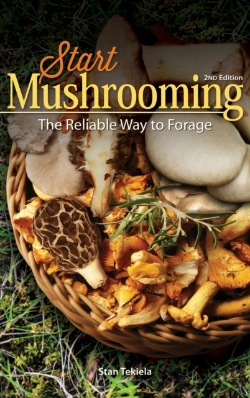Bertrand.pt - Start Mushrooming