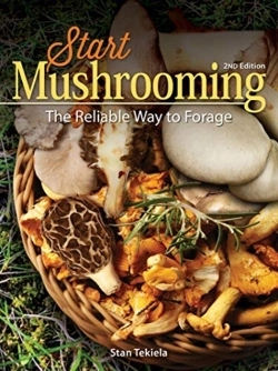 Bertrand.pt - Start Mushrooming