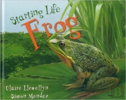 Bertrand.pt - Starting Life: Frogs