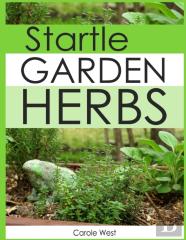 Startle Garden Herbs