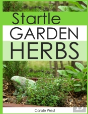 Startle Garden Herbs