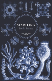 Startling