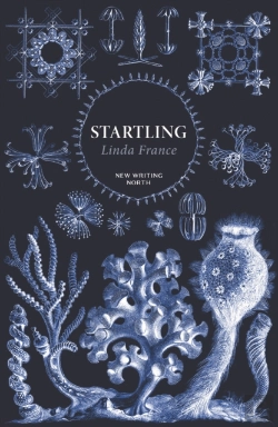 Bertrand.pt - Startling