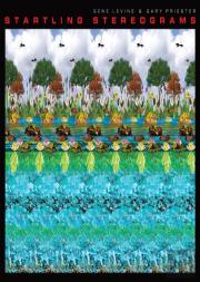 Startling Stereograms