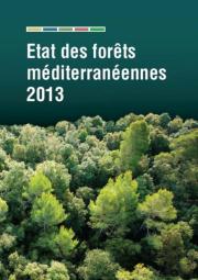 State Of Mediterranean Forests 2014 (French)