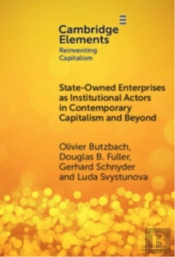 State-Owned Enterprises As Institutional Actors In Contemporary Capitalism And Beyond