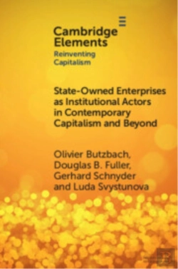 Bertrand.pt - State-Owned Enterprises As Institutional Actors In Contemporary Capitalism And Beyond