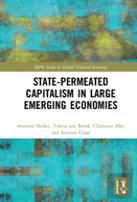 State-Permeated Capitalism In Large Emerging Economies