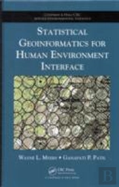 Statistical Geoinformatics For Human Environment Interface