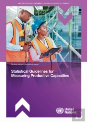 Statistical Guidelines For Measuring Productive Capacities