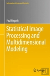Statistical Image Processing And Multidimensional Modeling