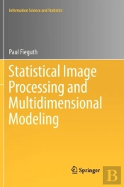Statistical Image Processing And Multidimensional Modeling