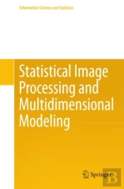 Statistical Image Processing And Multidimensional Modeling