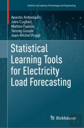 Statistical Learning Tools For Electricity Load Forecasting