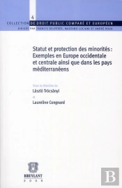 Statut Et Protection Des Minorités : Exemples En Europe Occidentale Et Centrale Ainsi Que Dans Les Pays Méditerranéens